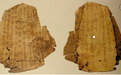 甲骨文发现120周年，国博将首次大规模展示馆藏甲骨