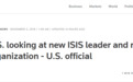 IS宣布新头目后，美官员：我们正在调查他的来头
