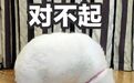 人设崩塌靠作文挽尊？这道歉是来搞笑的嘛