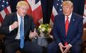约翰逊北约峰会前喊话特朗普：别干涉英国大选！