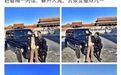 开奔驰进故宫“撒欢儿”，严查谁为特权“开门”！