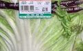 蔬菜需求量增大 北京商务局呼吁不囤积不抢购