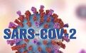 SARS-CoV-2有误导性？高福等专家呼吁重命名新冠病毒为HCoV-19
