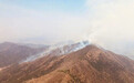 四问西昌森林火灾：为何复燃频发，如何防止扑救人员群死群伤