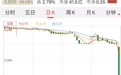 港股神州租车跳水 盘中暴跌70%