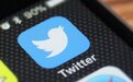 Twitter第一季度净亏损800万美元 同比转亏