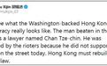胡锡进推特发暴徒私了视频：看看香港“民主”