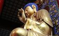佛教是老年宗教吗？真实的学佛人群超出你的想象