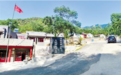 涿鹿县南山区：百年老树开枝散叶带出扶贫大产业 