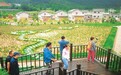移民新村风光好