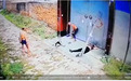 载老板出车祸女儿被打进ICU，多位村民称：打人者已喝农药自杀