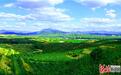 阜平大道村：荒山变成金山银山
