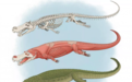 科学家发现8千万年前“恐怖鳄鱼”