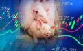 涨涨涨！猪肉价大涨85.7%，万科跨界养猪投资过亿，赚钱能持续多久？