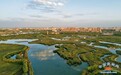 欢迎野生动物“回家” 张掖甘州打造湿地复合生态系统