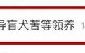 上海退役4年导盲犬苦等领养，全国200余只导盲犬何以为家？