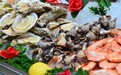 一大波青岛海鲜向我们袭来 你确定不尝一下这些美食？