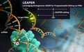 为生命科学基础研究和疾病治疗提供新思路 新型RNA单碱基编辑技术