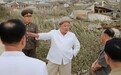 金正恩视察台风灾区：惩抗灾不力官员，召万余名党员奔赴灾区