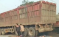 河南许昌一校车与大货车相撞：车上有多名幼儿，多人紧急送医