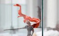 共话未来发展 中国电影美术学会论坛将在横店举行