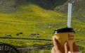 喝秋天的第一杯奶茶 赏冰沟河景区的第一抹金黄