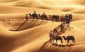 葛承雍：为什么汉代重视天马而轻视骆驼?