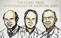 丙肝病毒发现者获诺贝尔生理学和医学奖