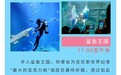 福建一女子在鲨鱼馆潜水时遇难，官方称与鲨鱼无关，已成立调查组