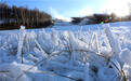 河北崇礼：人工造雪 为滑雪季做准备