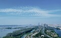 安徽芜湖市：奋力打造水清岸绿“智慧长江”