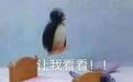 求求你别再求着马云关游戏了