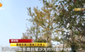 通车！家住长沙浏阳河东岸、星沙的恭喜了！