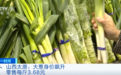 涨！大葱涨价近3倍，每公斤超7元！“葱葱涨价”为哪般？