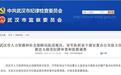武汉市人力资源和社会保障局原巡视员黄忠玉被查