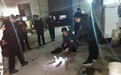 石家庄市公安机关近一个月立案侦办环境案件267起
