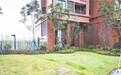 喷绿漆？小区交房前给草坪“做”绿  负责人回应