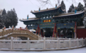 雪伴雨丝轻飞洒，看武威文庙雪景美如画