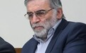 伊朗防长：遇害科学家是抗疫先驱 曾领导生产首批新冠检测盒