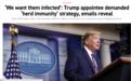 特朗普政府内部邮件曝光：让孩子们感染新冠！科学顾问游说“群体免疫”