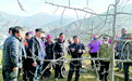 迭部逾600群众“进修”苹果“致富经” 