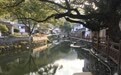 宁波这个村落被称为“宁波的香格里拉”，有700年的历史，古树老屋都还在……