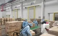 举报这类违法违规行为，最高奖50万