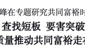 金华市委书记凌志峰：查找短板 要害突破 更高质量推动共同富裕走在前列
