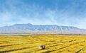从河西走廊到陇东高原 甘肃"反弹琵琶"打好丝路寒旱牌