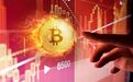 疯狂！1元10年变1200万！比特币破3万美元，市值超台积电直追阿里！