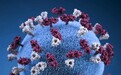 非洲惊现新冠病毒“逃逸突变体”：能躲避疫苗部分抗体