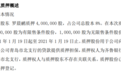 用于质押担保！青鸟软通股东罗晨鹂质押400万股