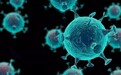 日本推出新冠病毒自动检测机 鼻拭子采样约80分钟出结果 