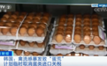 禽流感暴发致“蛋荒”！这个国家或取消蛋类进口关税